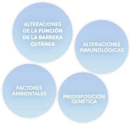 Alteraciones de la función de la barrera cutánea. Alteraciones inmunológicas. Factores ambientales. Predisposición genética.