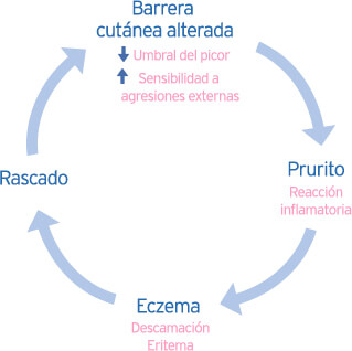 Barrera cutánea alterada: -Umbral del picor + Sensibilidad a agresiones externas. Prurito: Reacción inflamatoria. Eczema: Descamación Eriterna. Rascado